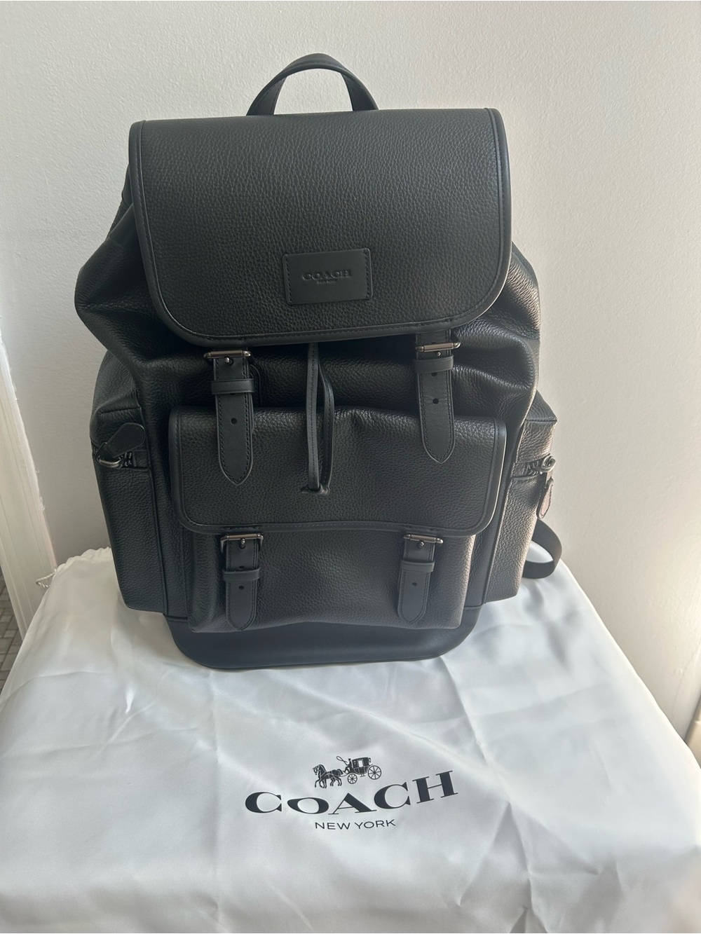 Coach Sprint Backpack